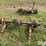ford-f250-image-6