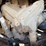 polaris-ranger-sp-570-image-45