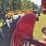 1948-farmall-c-image-22