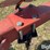 case-ih-5-image-12