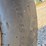 hutchinson-10x61-image-11