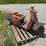 cushman-scooter-image-4