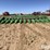 1990-john-deere-1243-image-2