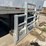 peterbilt-389-image-6