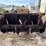 john-deere-450-image-6