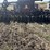 case-ih-8600-image-14