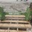 john-deere-a-image-5