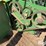 2007-john-deere-7460-image-15
