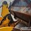 1999-jcb-407b-image-29