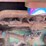 oliver-77-image-49