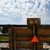 hayrack-w/-contents-image-20