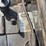 international-cub-image-19