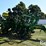 2009-john-deere-1790-ccs-image-3