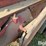 new-holland-68-image-15
