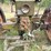 1950-john-deere-b-image-11