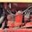 farmall-560-image-40