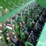 2007-great-plains-1510hdf-image-13
