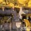 2022-caterpillar-336-image-59