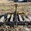 caterpillar-12-image-2