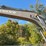 2005-volvo-ew180b-image-15