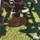 m&w-1165-image-17