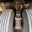 elgin-pelican-s-image-26