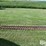 augers-image-6
