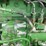 1992-john-deere-4455-image-12