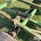 john-deere-965-image-20