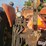 1962-allis-chalmers-d19-image-12