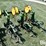 john-deere-er825-8r30-cultivator-image-15