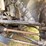 2017-kawasaki-mule-pro-fx-image-12