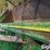 john-deere-158-image-15