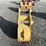 caterpillar-14-image-3