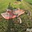 bush-hog-sq84-image-7