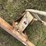 international-cub-image-15
