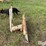 international-cub-image-4
