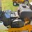 international-cub-image-21