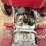 massey-ferguson-135-image-10