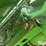 1999-john-deere-9610-image-10