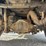 2017-ford-f350-xl-image-64