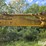 caterpillar-225-image-20