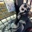 2016-caterpillar-289d-image-19