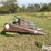 john-deere-643-image-4