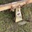 international-cub-image-11