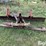 international-3-image-2