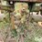 1949-john-deere-a-image-11