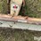 international-cub-image-16