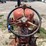 allis-chalmers-d17-image-40