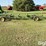 john-deere-965-image-4